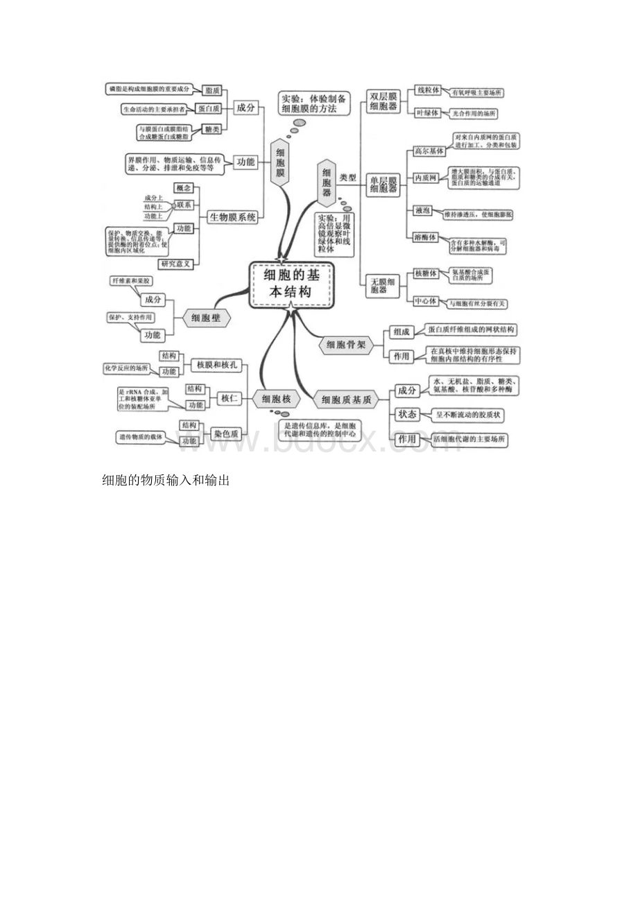 高中生物思维导图.docx_第2页