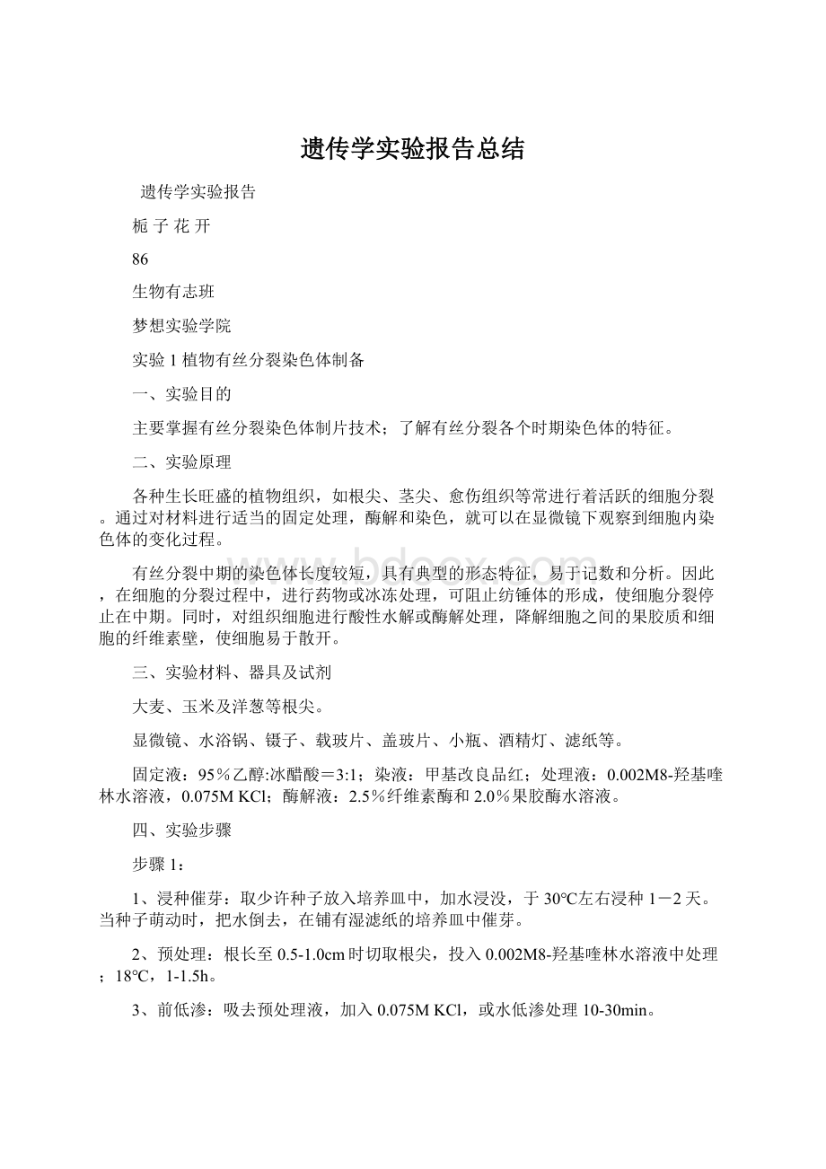 遗传学实验报告总结.docx