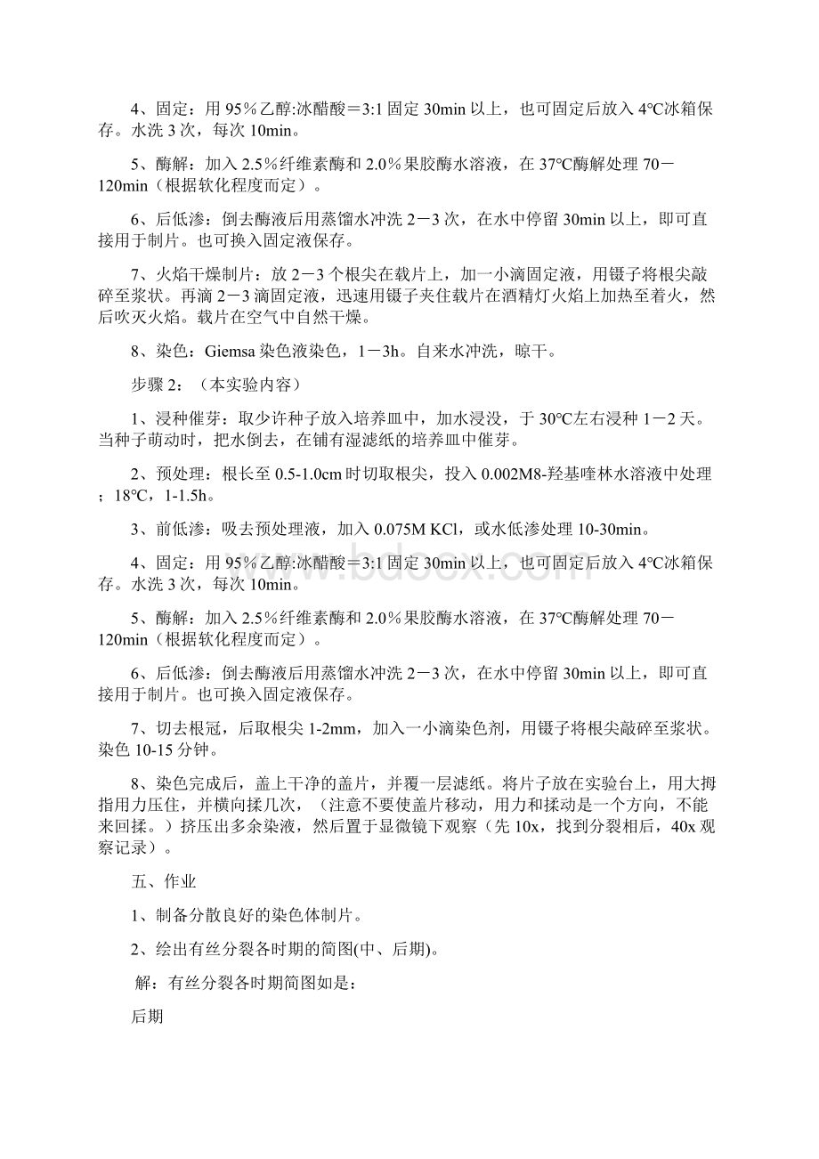 遗传学实验报告总结Word文件下载.docx_第2页