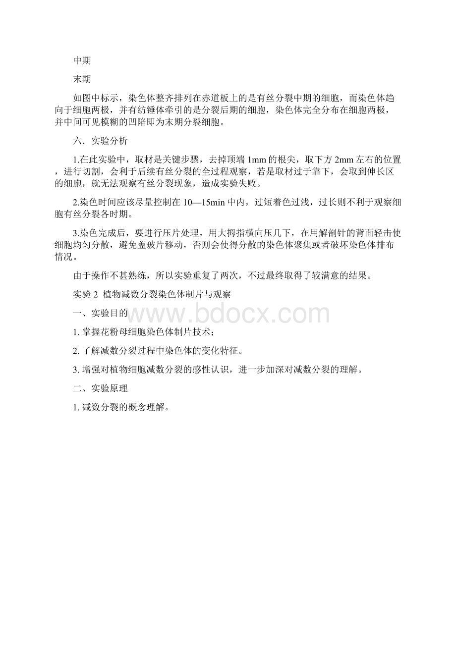 遗传学实验报告总结Word文件下载.docx_第3页