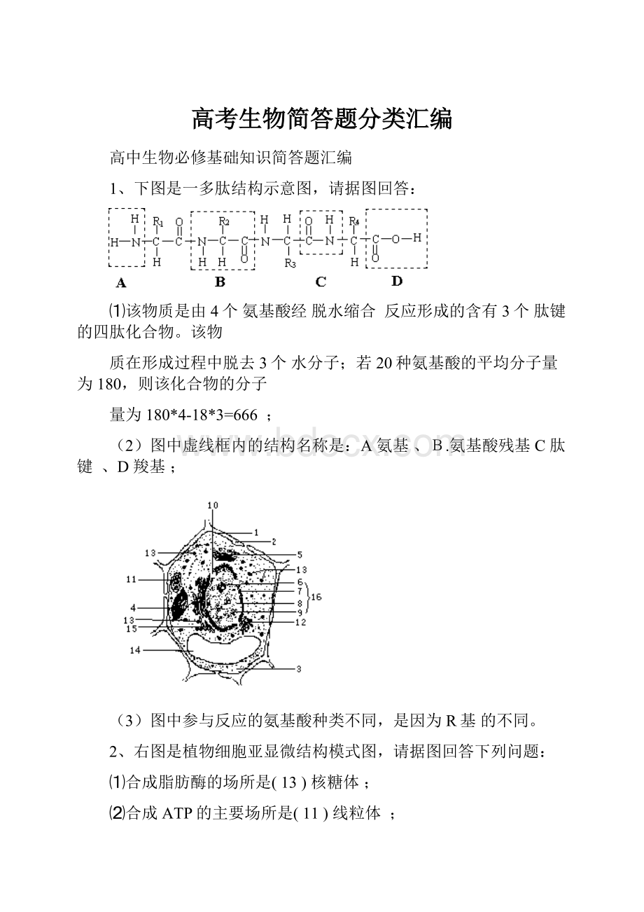 高考生物简答题分类汇编Word文档下载推荐.docx