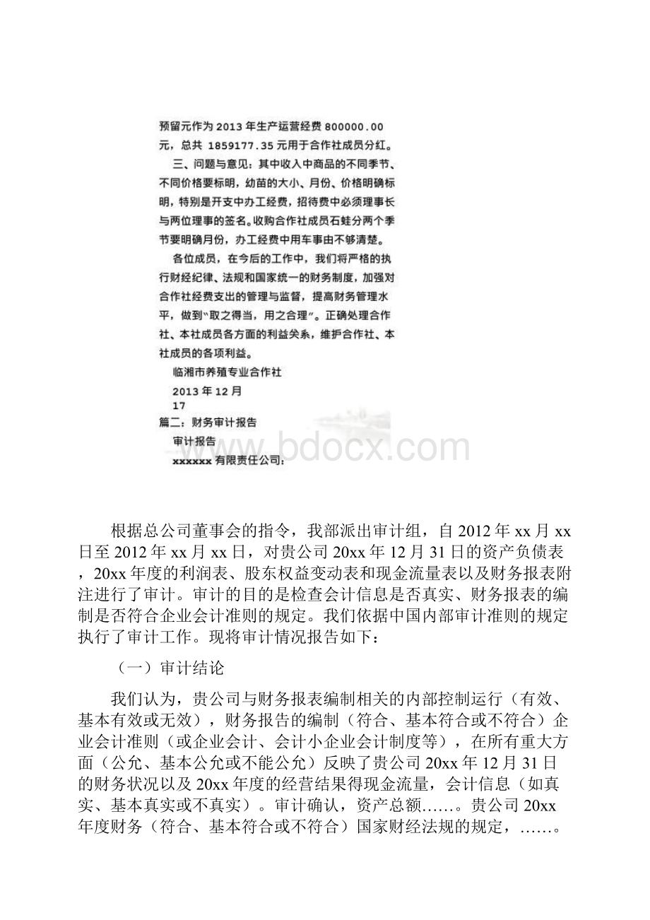 财务审计报告使用.docx_第2页