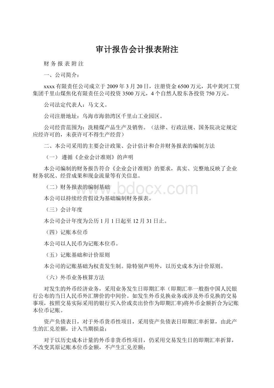 审计报告会计报表附注Word文档格式.docx_第1页