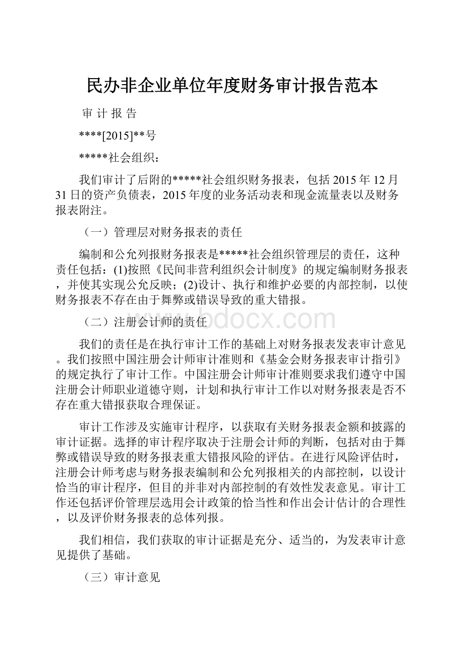 民办非企业单位年度财务审计报告范本.docx_第1页