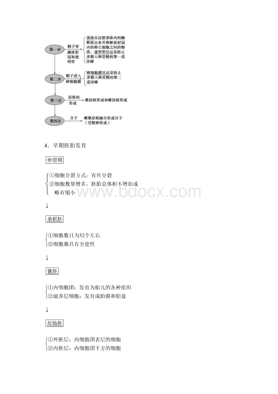 届人教版一轮复习选修1选修3第3讲胚胎工程及生物技术的安全性和伦理问题 教案.docx_第2页