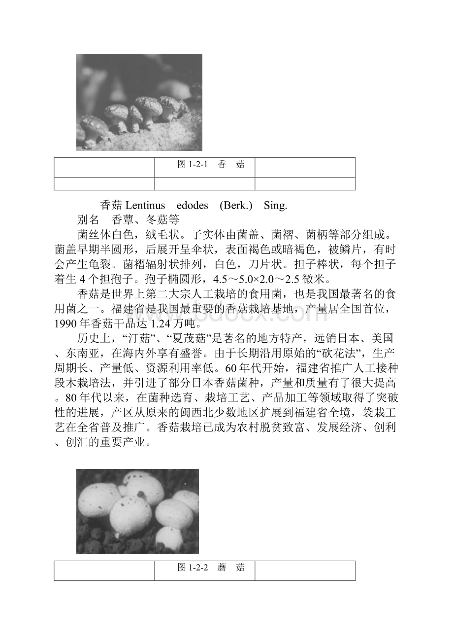 食用菌.docx_第2页