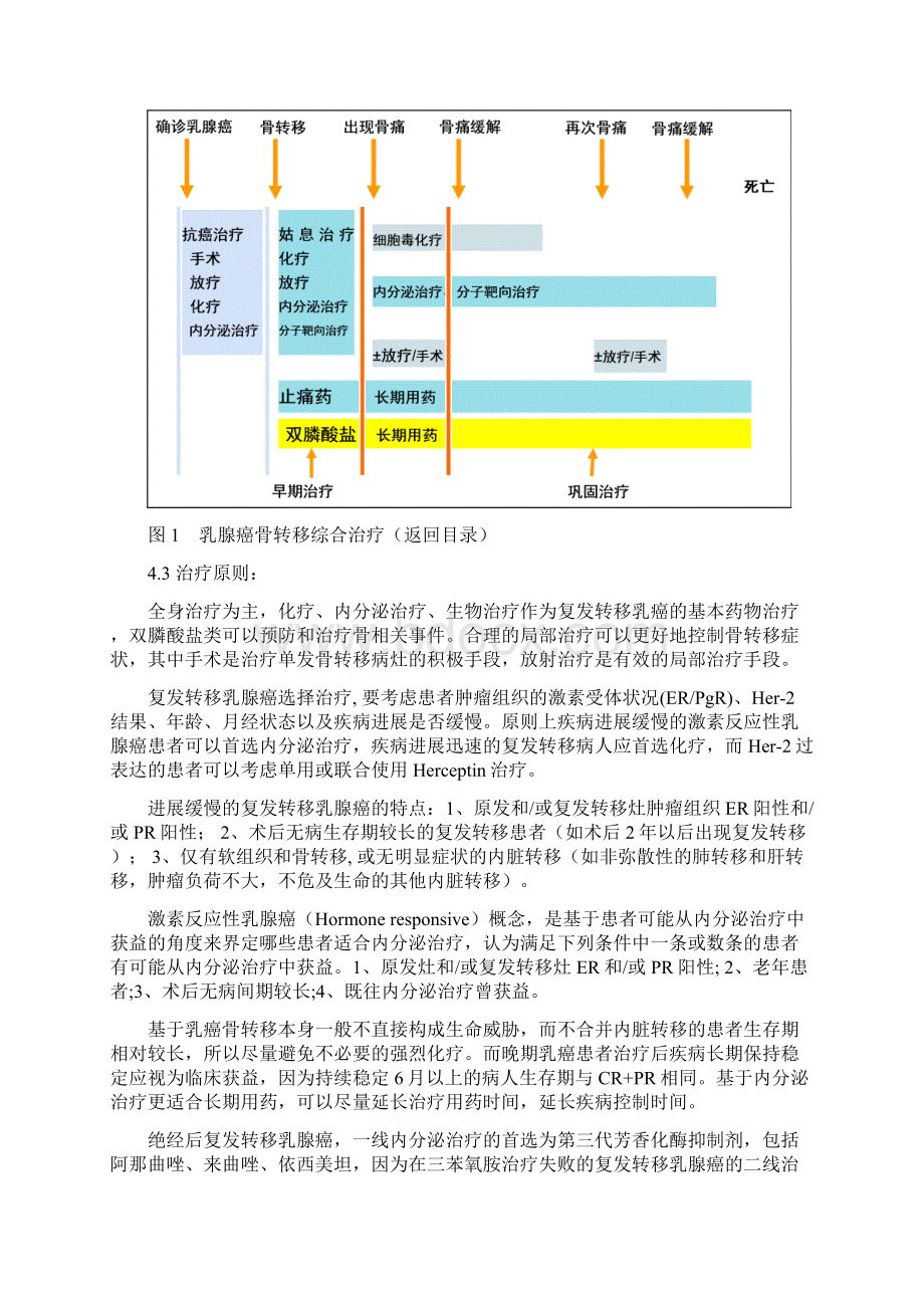 乳腺癌骨转移临床诊疗专家共识.docx_第3页