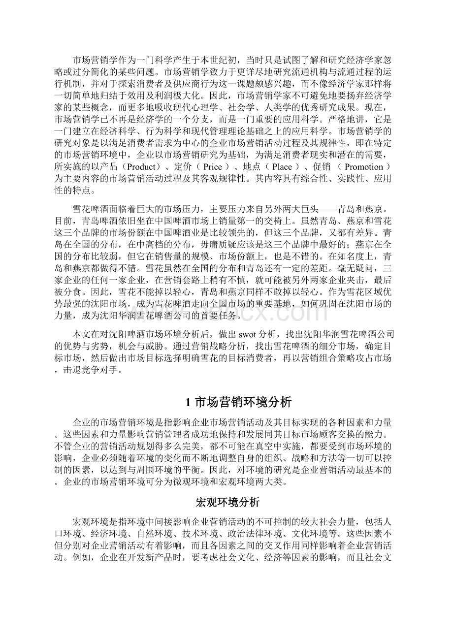 华润雪花啤酒营销策略解析Word格式文档下载.docx_第2页