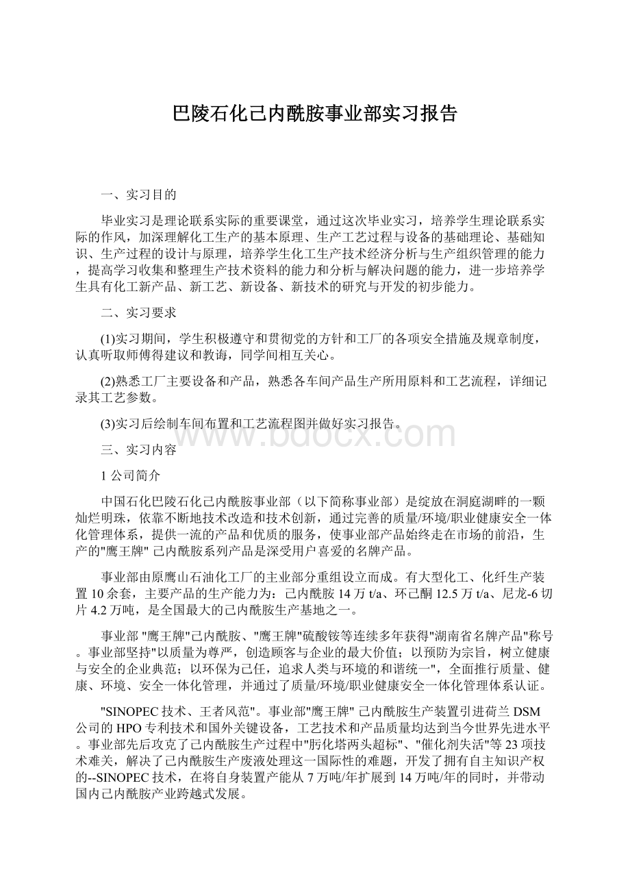 巴陵石化己内酰胺事业部实习报告Word下载.docx