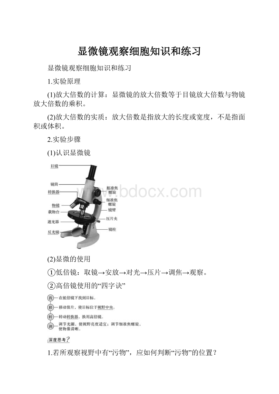 显微镜观察细胞知识和练习Word格式文档下载.docx_第1页