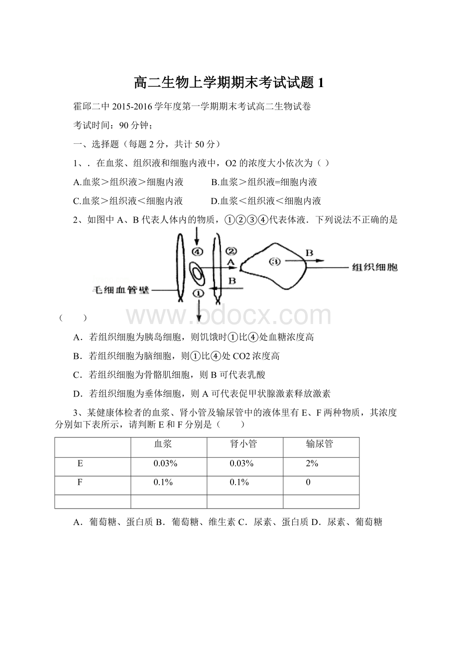 高二生物上学期期末考试试题1.docx