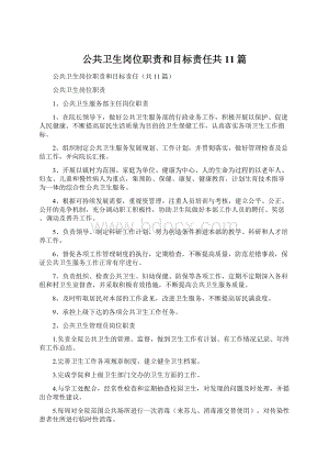 公共卫生岗位职责和目标责任共11篇.docx