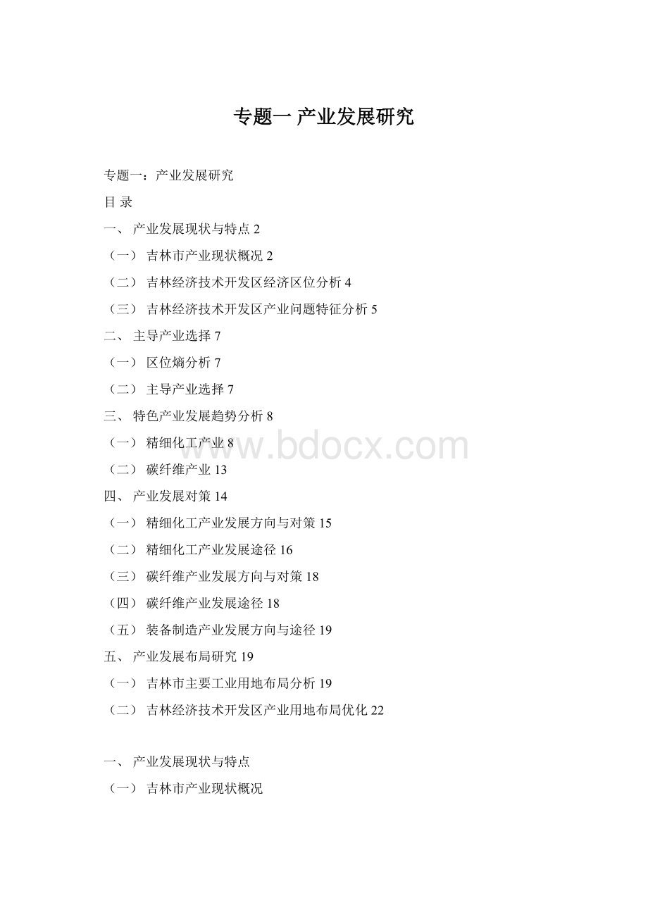 专题一 产业发展研究文档格式.docx