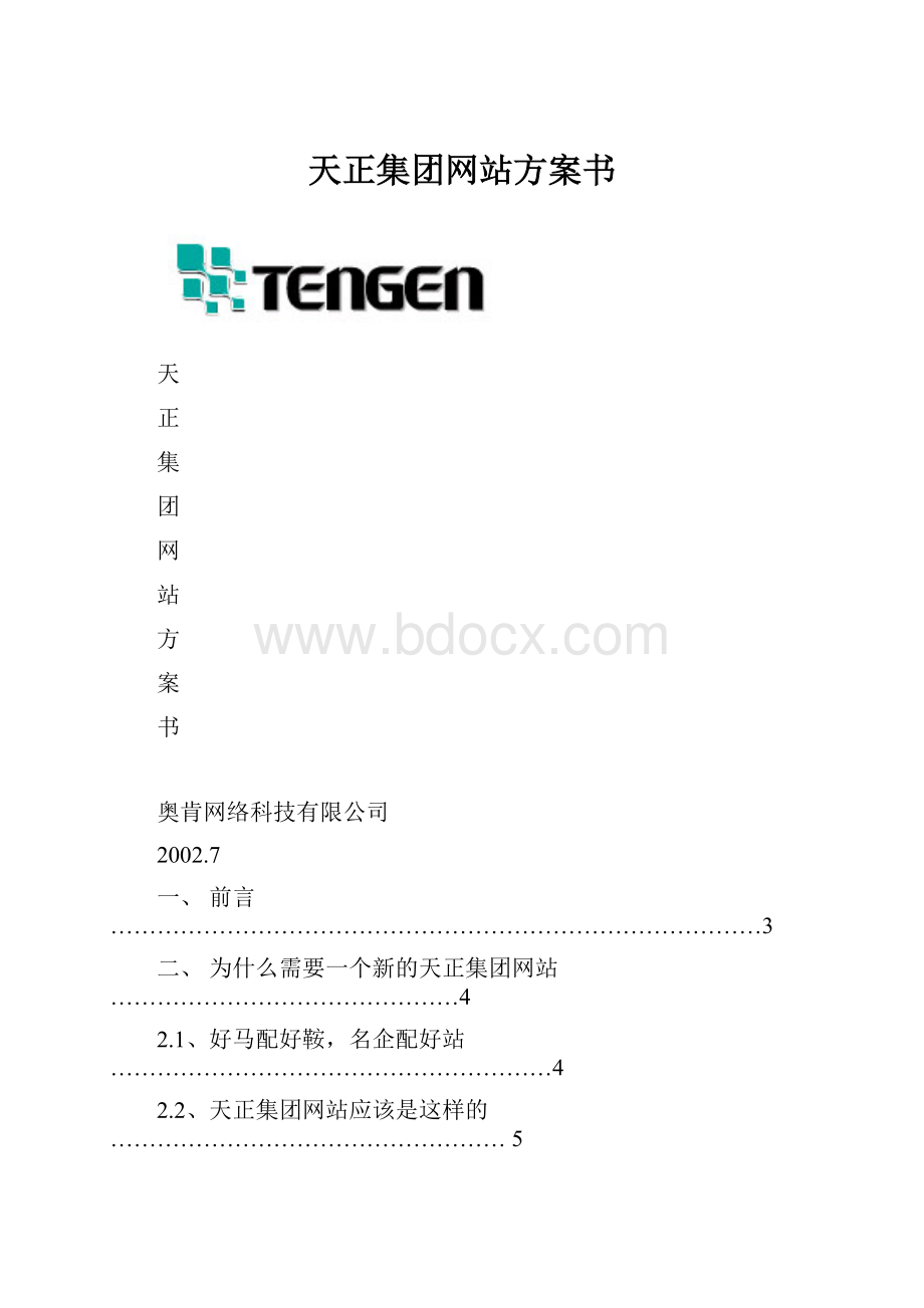 天正集团网站方案书文档格式.docx