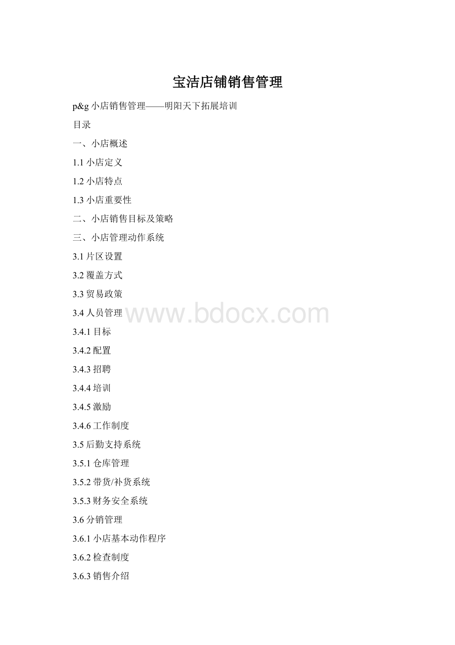 宝洁店铺销售管理Word下载.docx