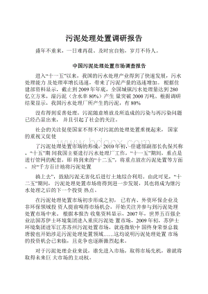 污泥处理处置调研报告Word文档格式.docx