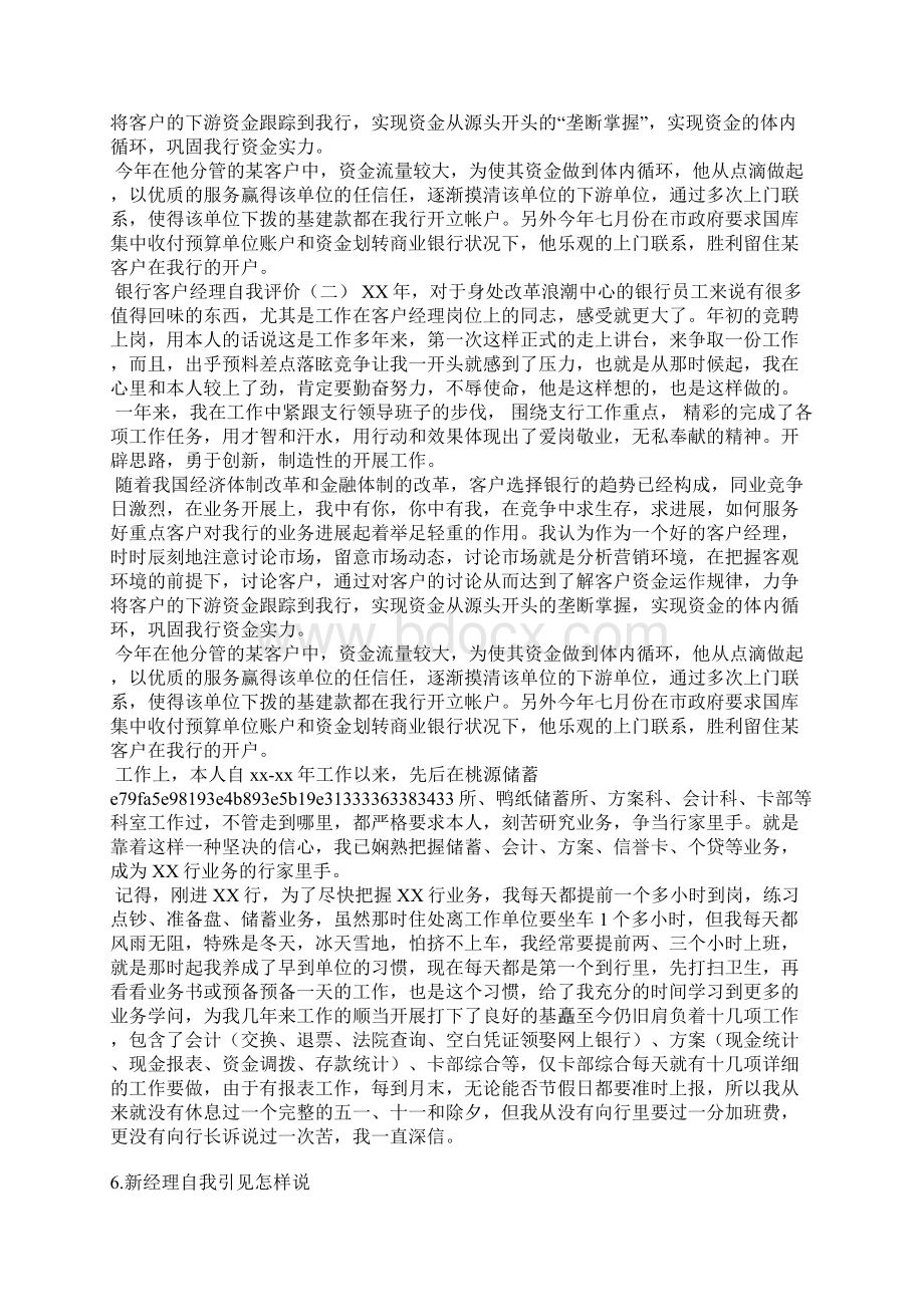 bd经理的自我评价.docx_第3页