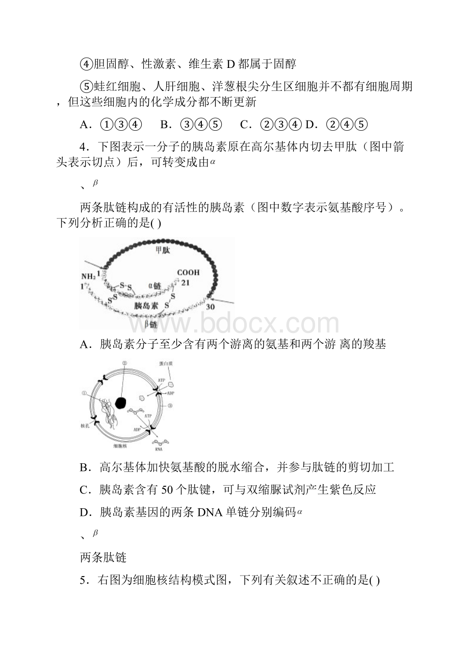 安徽省江淮十校届高三联考生物试题纯word版Word文档下载推荐.docx_第2页