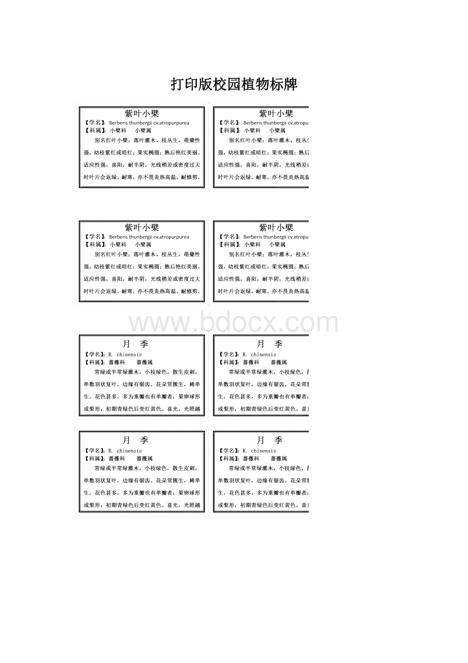 打印版校园植物标牌Word格式文档下载.docx