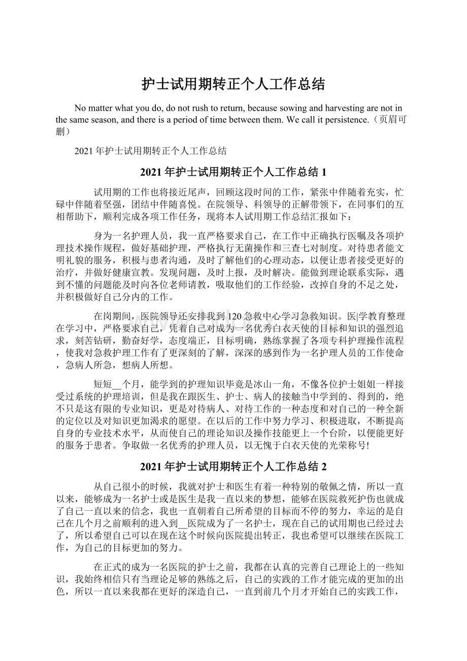 护士试用期转正个人工作总结Word格式文档下载.docx