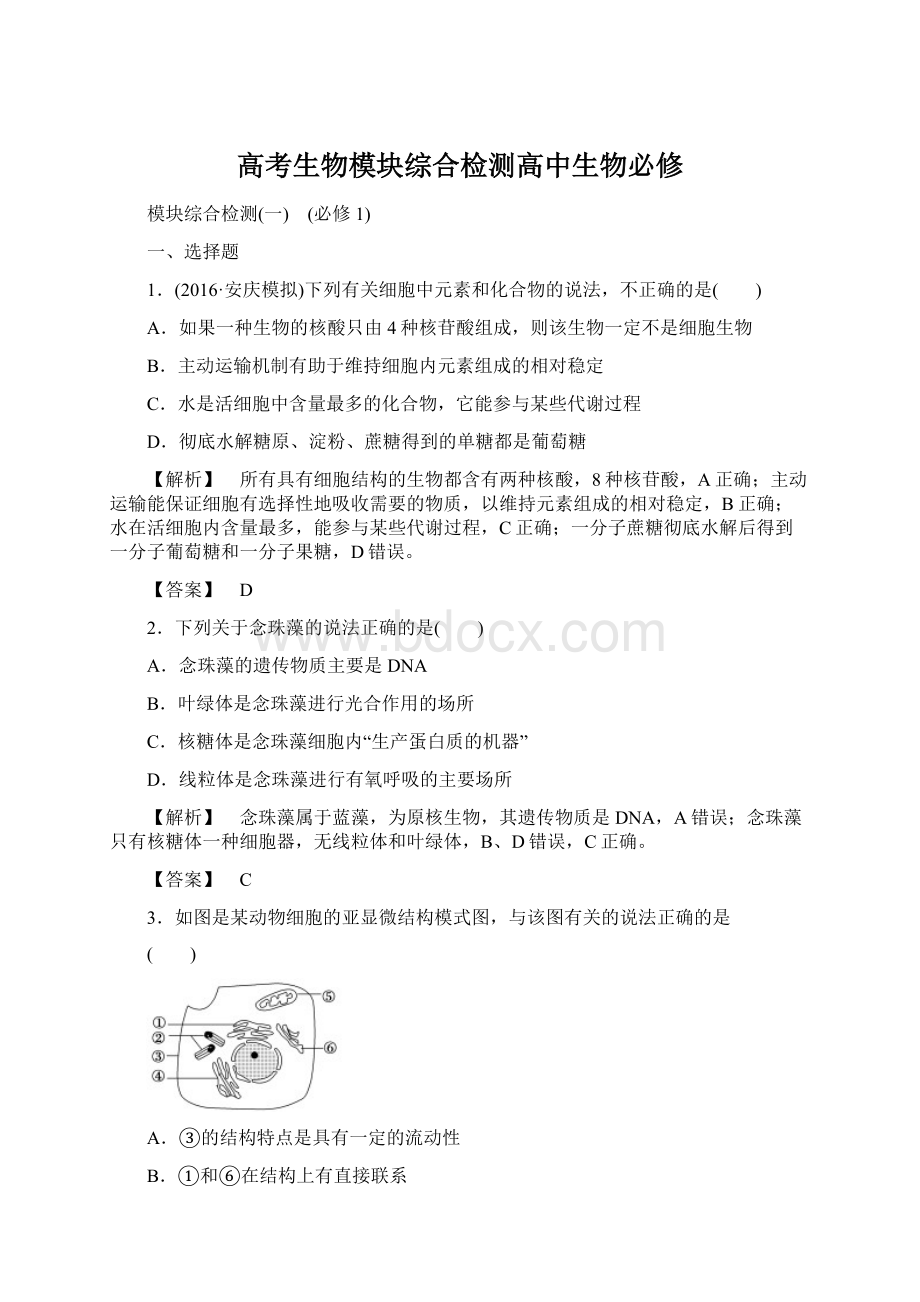 高考生物模块综合检测高中生物必修Word格式文档下载.docx_第1页