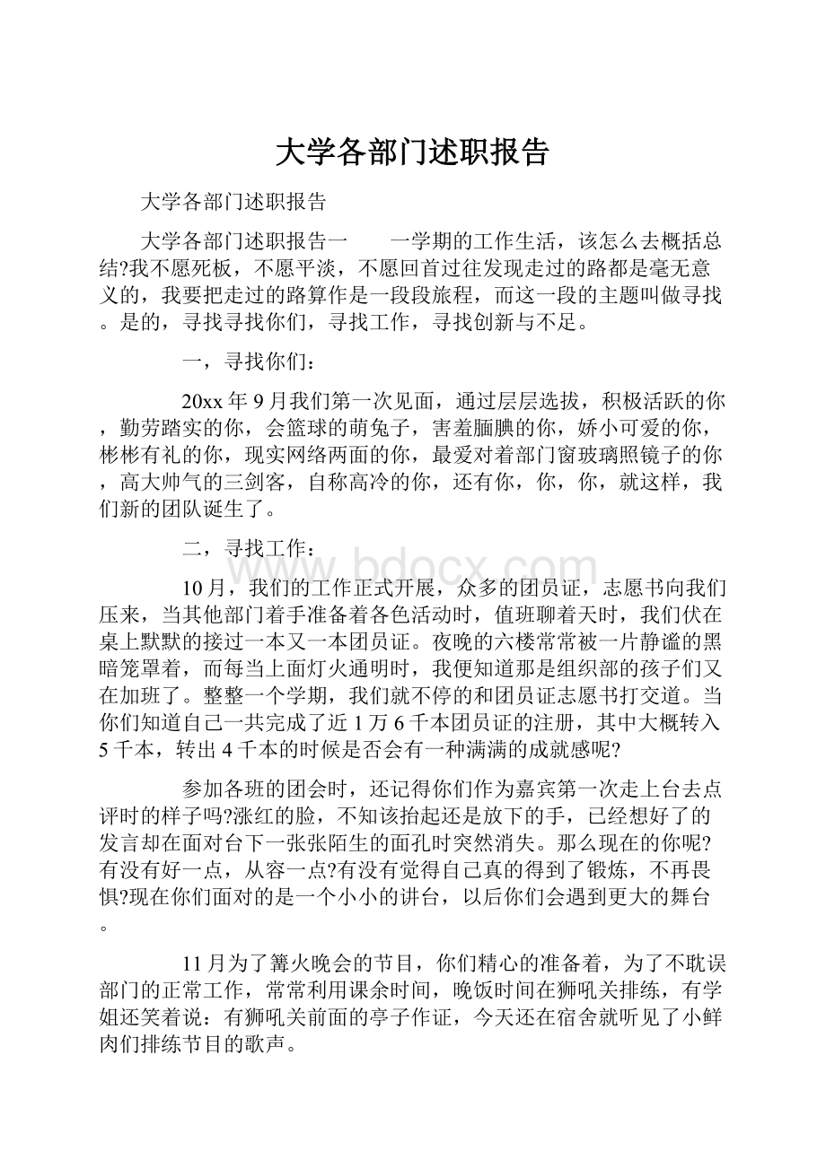 大学各部门述职报告.docx_第1页