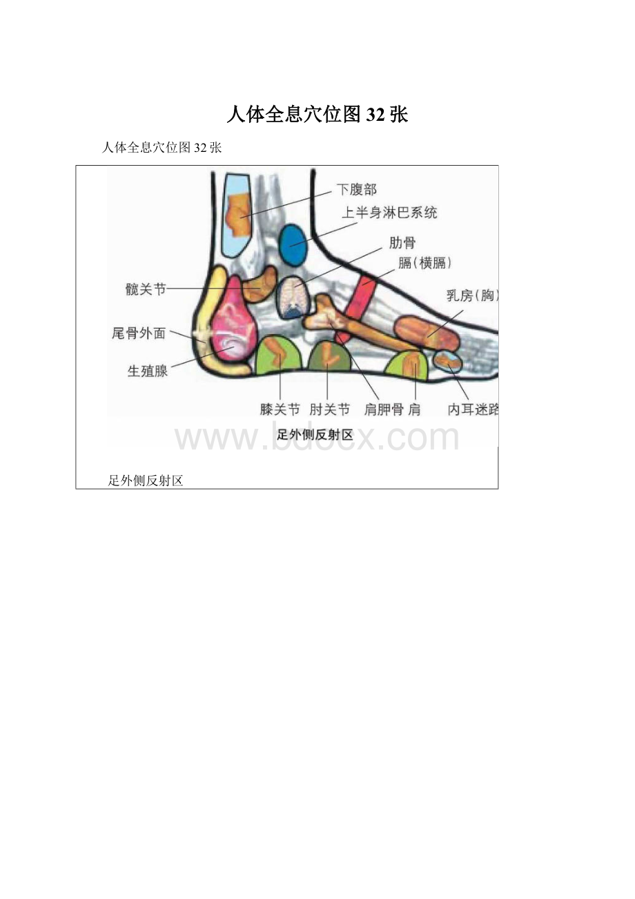 人体全息穴位图32张.docx_第1页