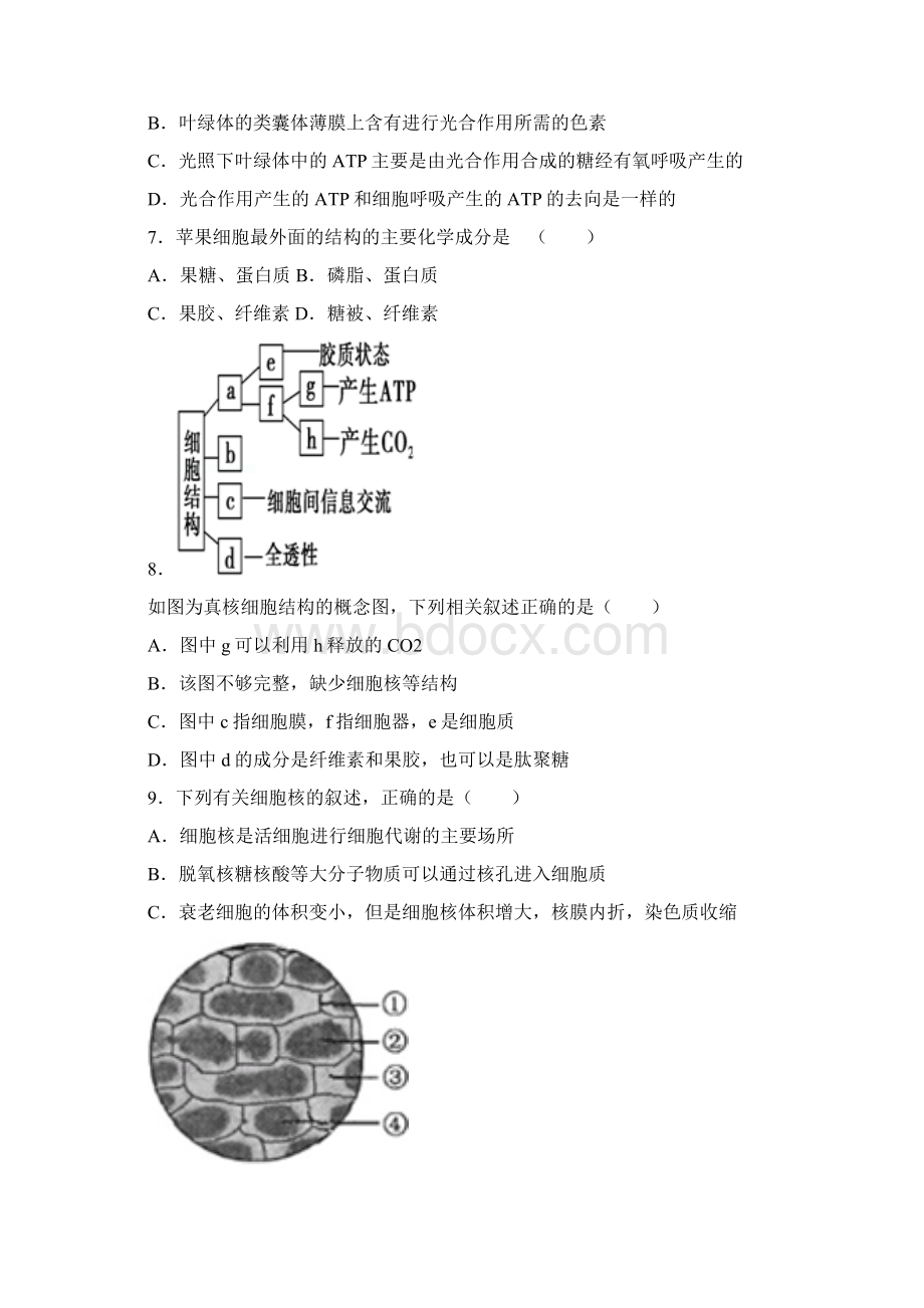 学年度高一第二学期期中生物考试.docx_第2页