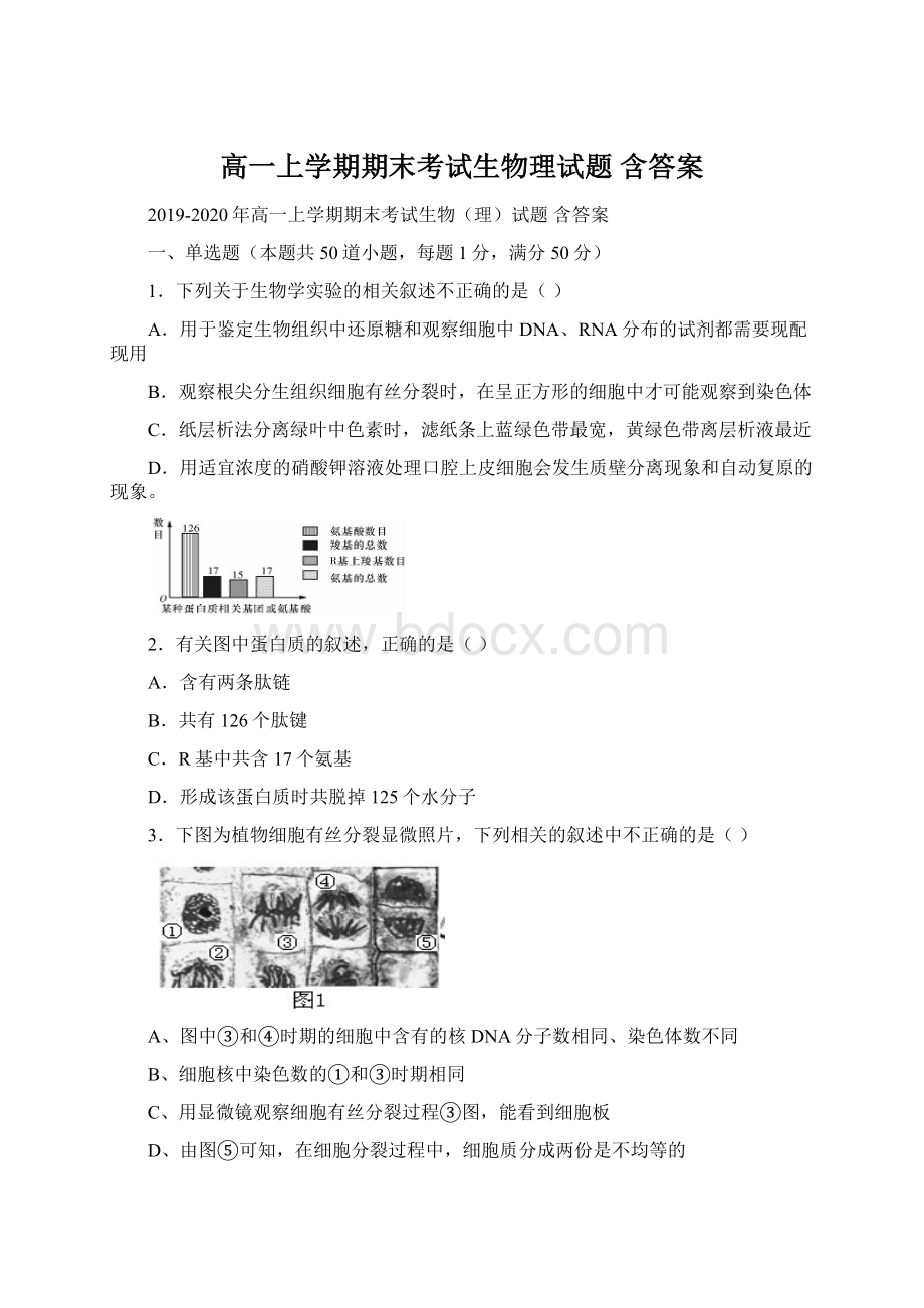 高一上学期期末考试生物理试题 含答案.docx_第1页