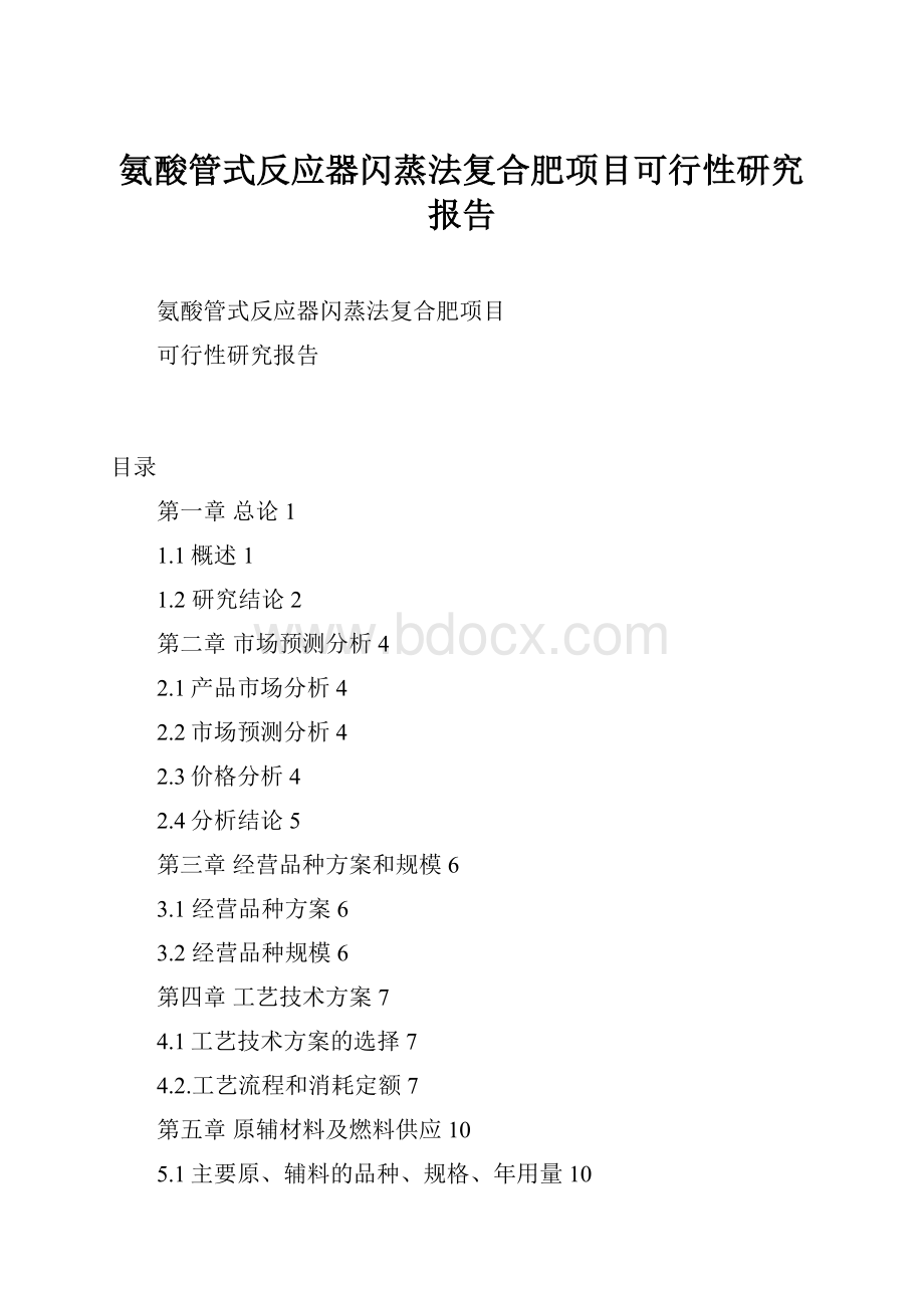 氨酸管式反应器闪蒸法复合肥项目可行性研究报告.docx