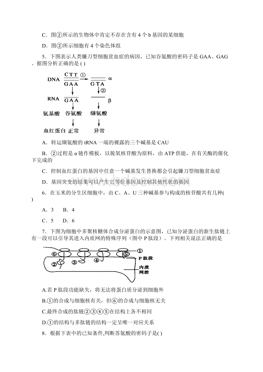 人教版 基因的表达 单元测试.docx_第2页