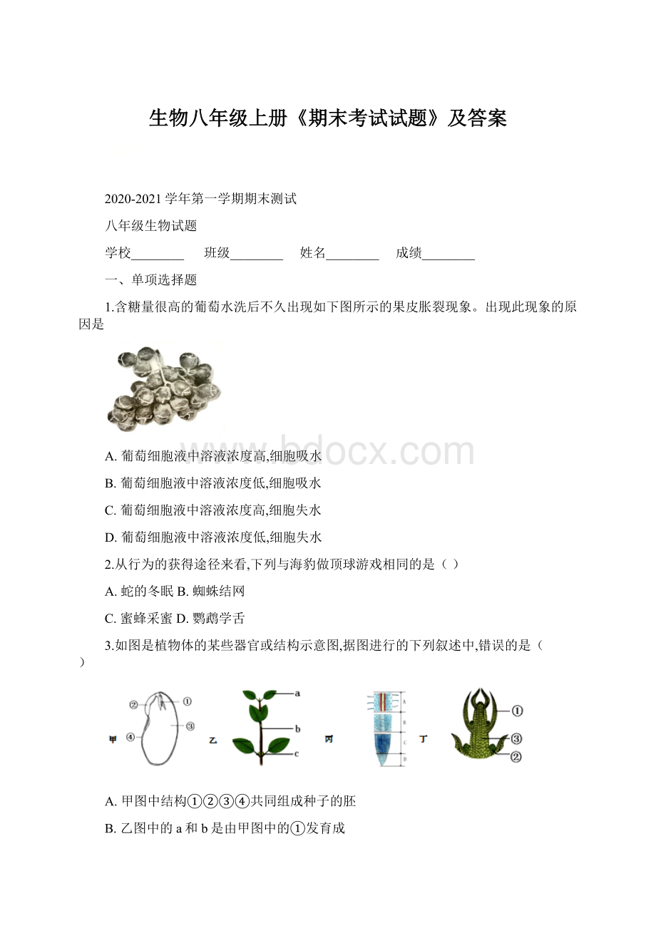 生物八年级上册《期末考试试题》及答案Word下载.docx