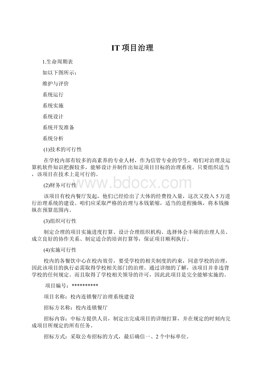 IT项目治理Word文档下载推荐.docx