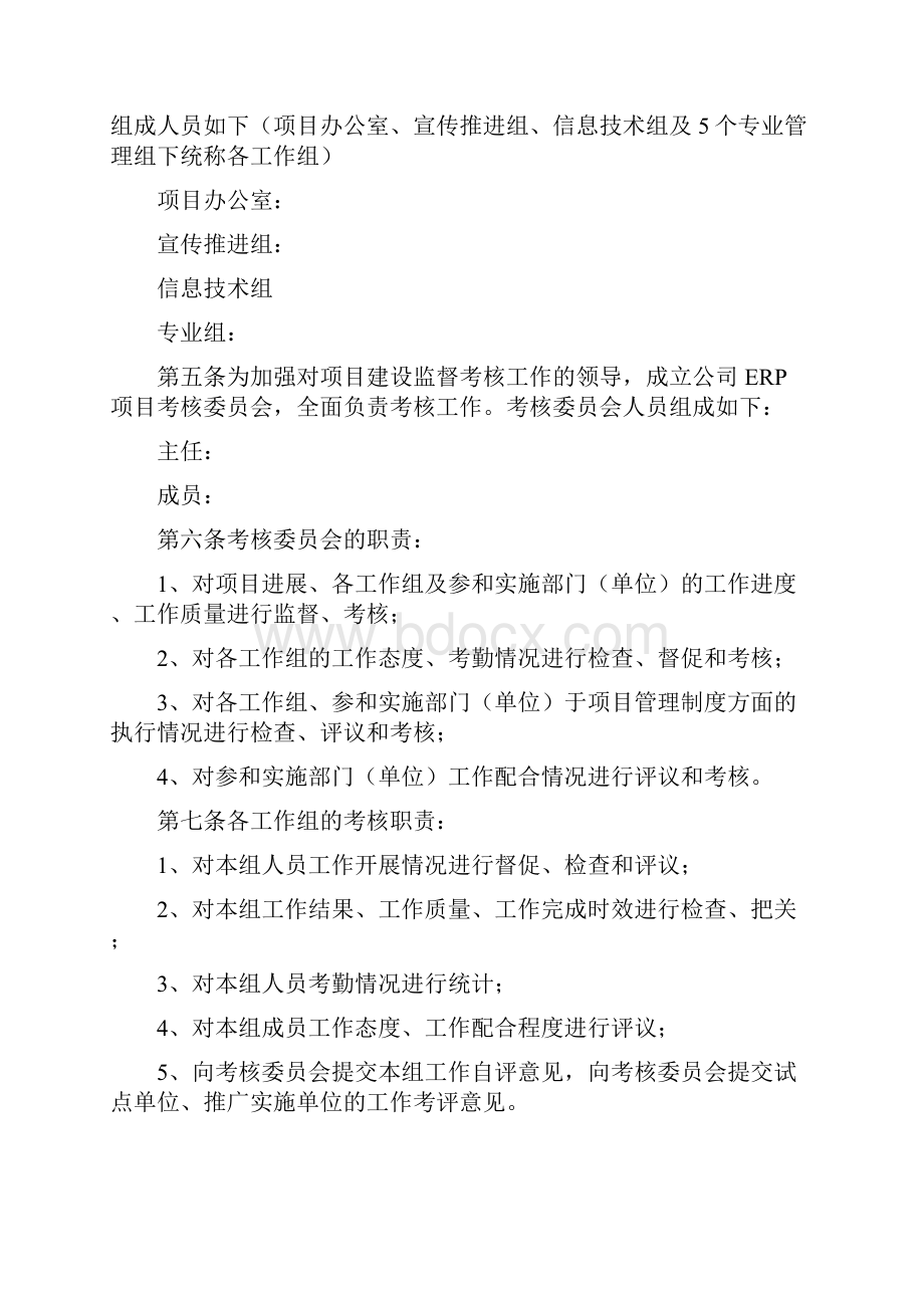 管理制度集团ERP系统项目管理办法.docx_第2页