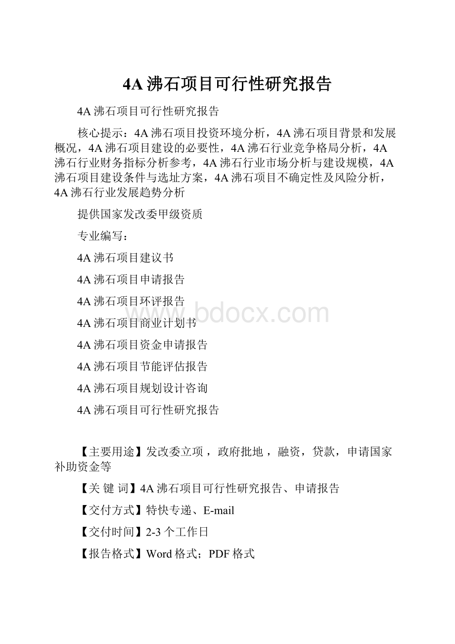 4A沸石项目可行性研究报告Word文档格式.docx