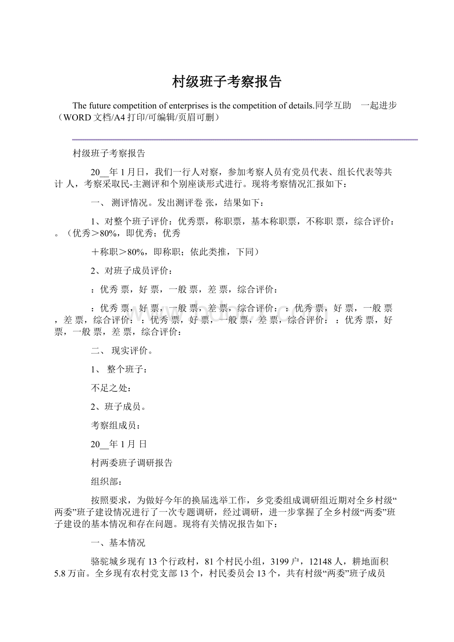 村级班子考察报告Word文件下载.docx_第1页