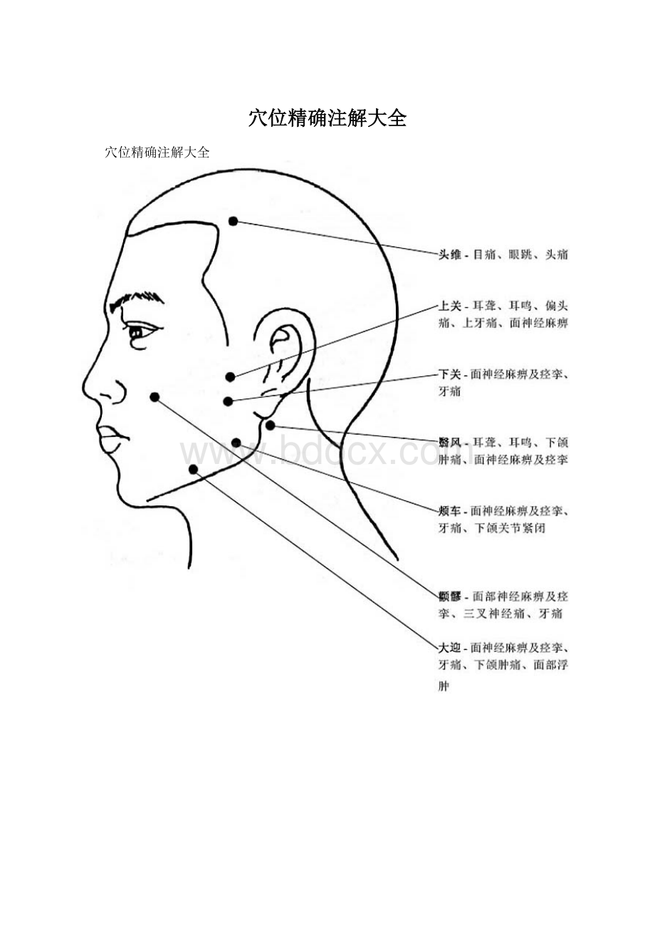 穴位精确注解大全Word格式.docx_第1页