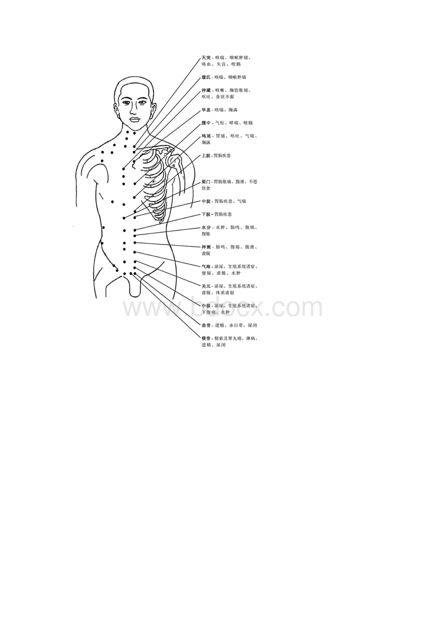 穴位精确注解大全.docx_第2页