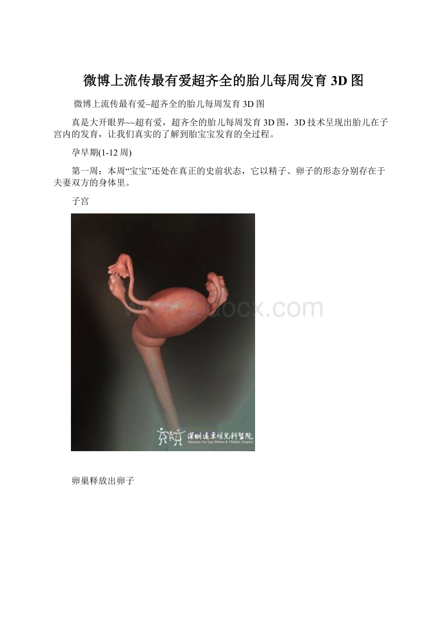 微博上流传最有爱超齐全的胎儿每周发育3D图.docx