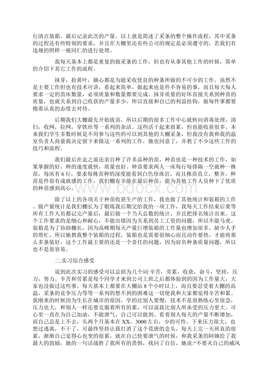 XX年花卉实习报告.docx_第2页