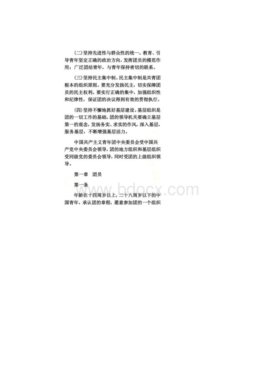 共青团章程.docx_第3页