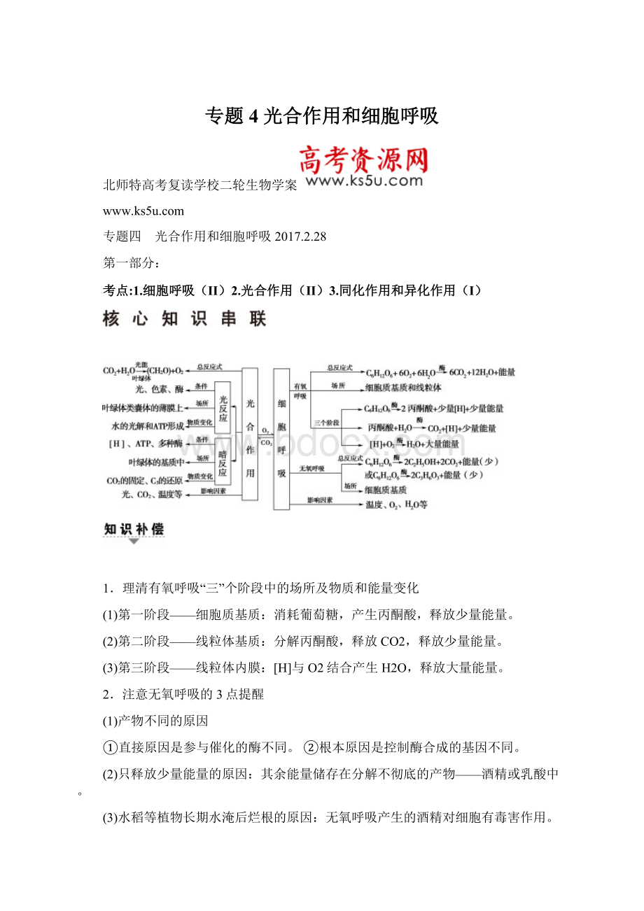 专题4 光合作用和细胞呼吸Word文档格式.docx_第1页