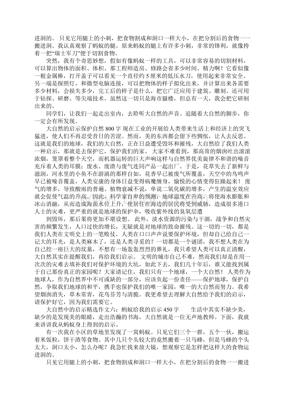 大自然中的启示精选作文10篇.docx_第3页