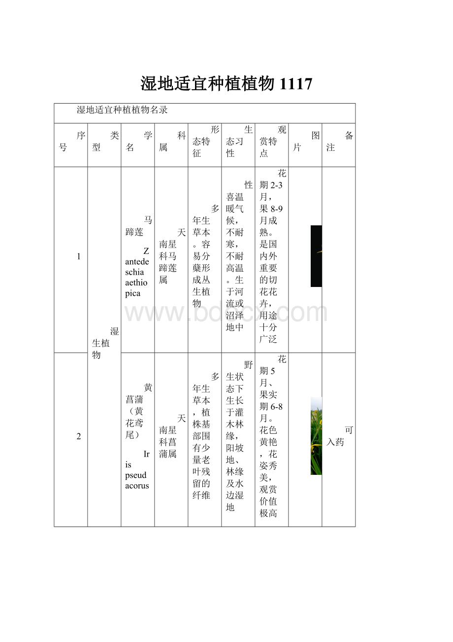 湿地适宜种植植物1117Word格式.docx