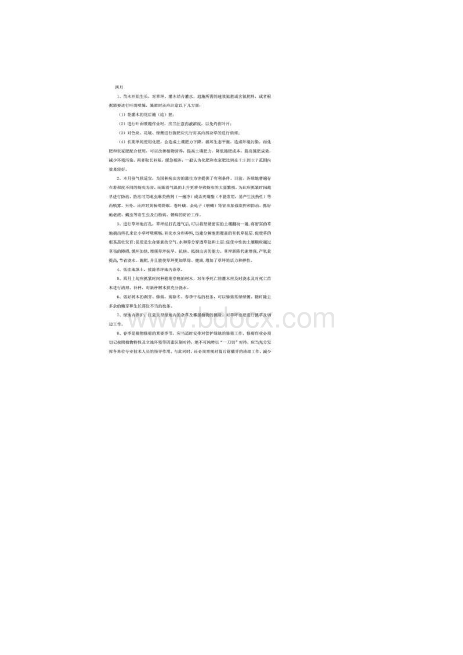 绿化养护月度计划.docx_第3页