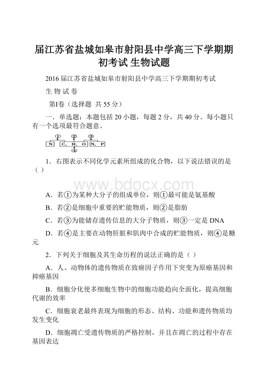 届江苏省盐城如皋市射阳县中学高三下学期期初考试 生物试题.docx_第1页