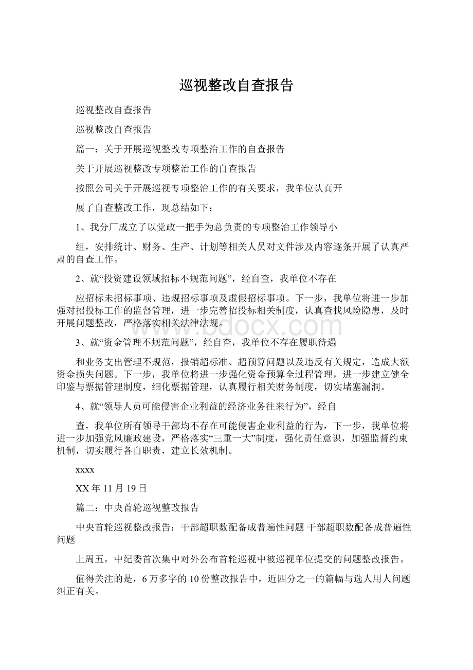 巡视整改自查报告.docx