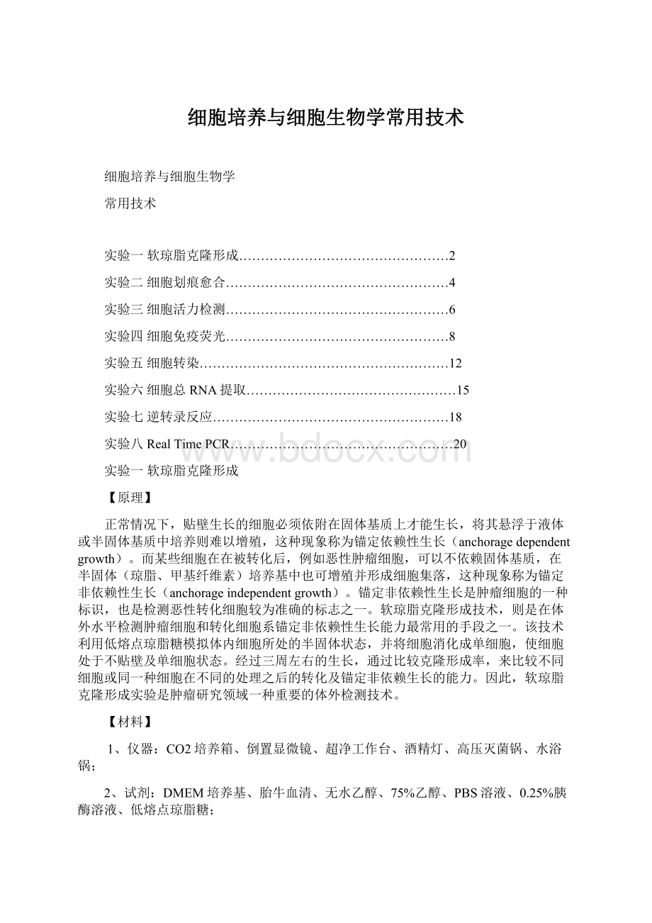 细胞培养与细胞生物学常用技术文档格式.docx