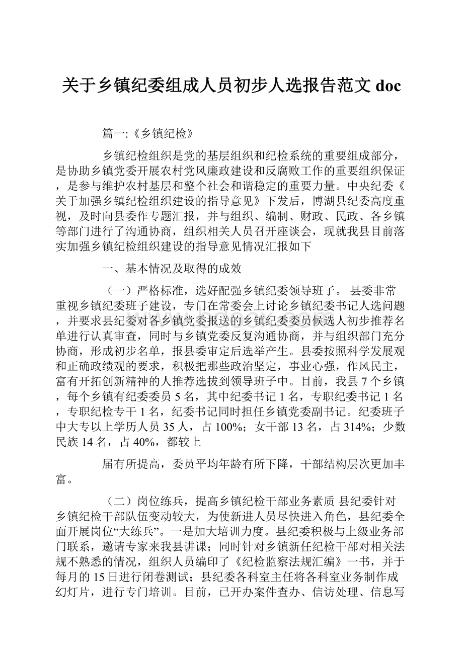 关于乡镇纪委组成人员初步人选报告范文docWord格式.docx