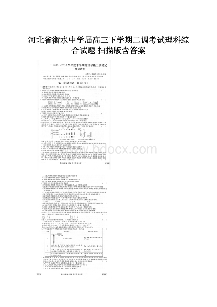 河北省衡水中学届高三下学期二调考试理科综合试题 扫描版含答案Word文档下载推荐.docx